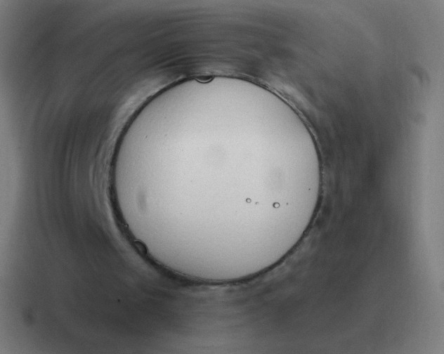 X0000116820049200912312023