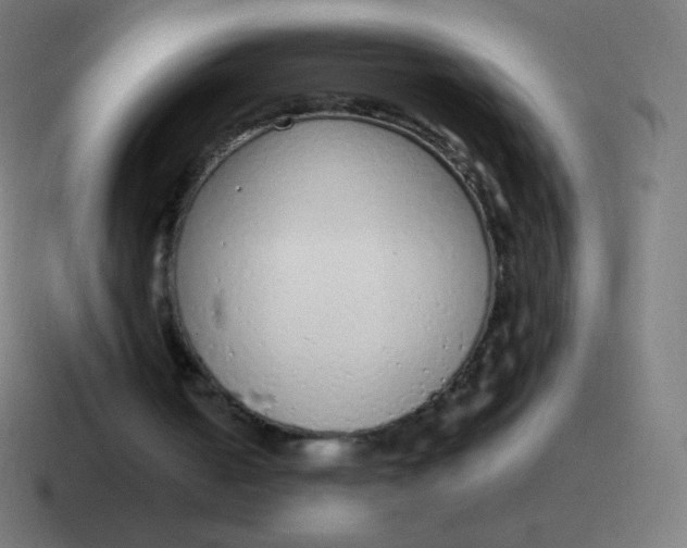 X0000116820050200912312023