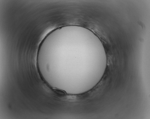 X0000116820052200912312023