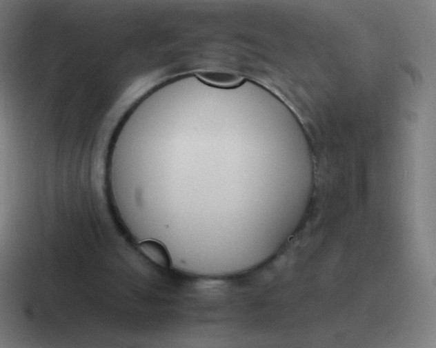 X0000116820055200912312023