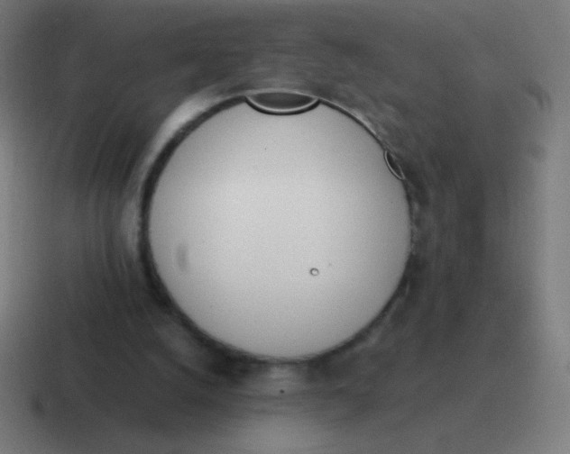 X0000116820056200912312023