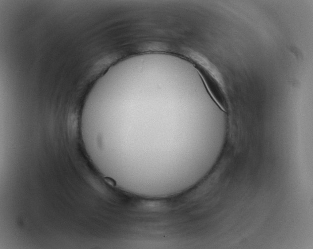 X0000116820057200912312023