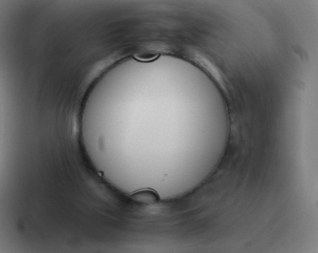 X0000116820059200912312023