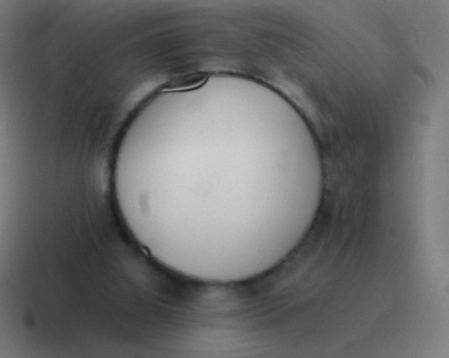 X0000116820060200912312023