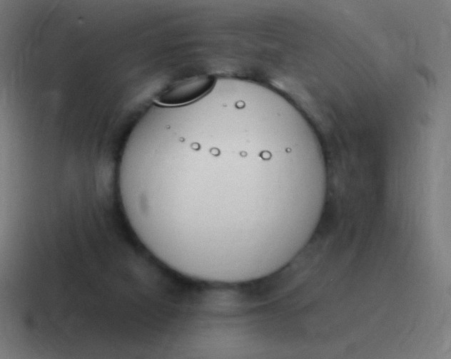 X0000116820066200912312023