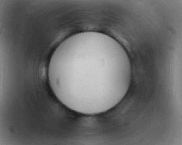 X0000116820067200912312023