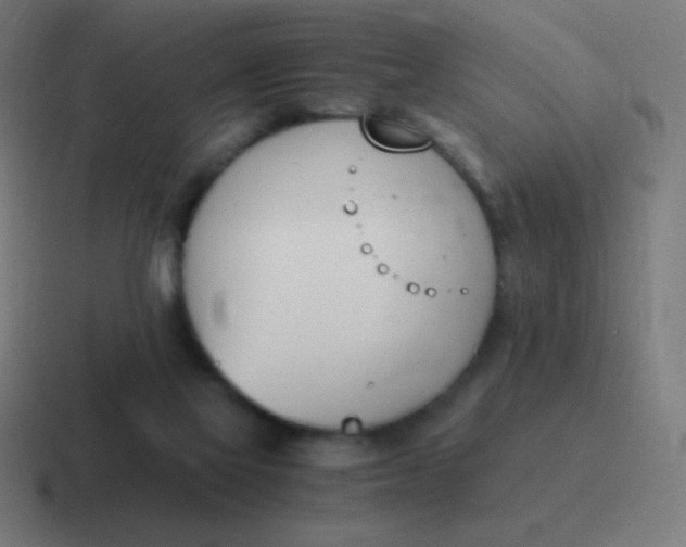 X0000116820069200912312024