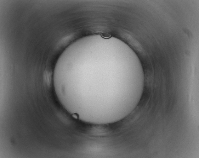 X0000116820070200912312024