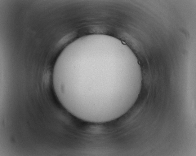 X0000116820071200912312024