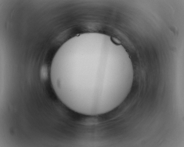 X0000116820075200912312024