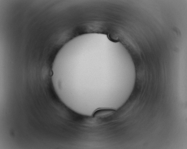 X0000116820079200912312024