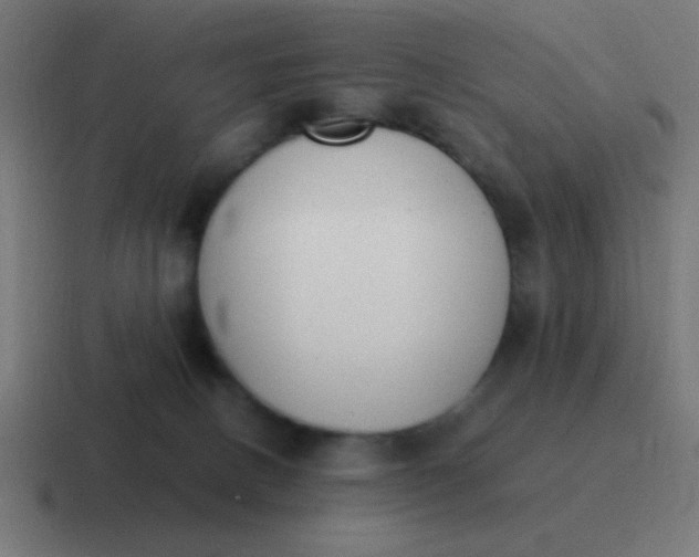 X0000116820082200912312024