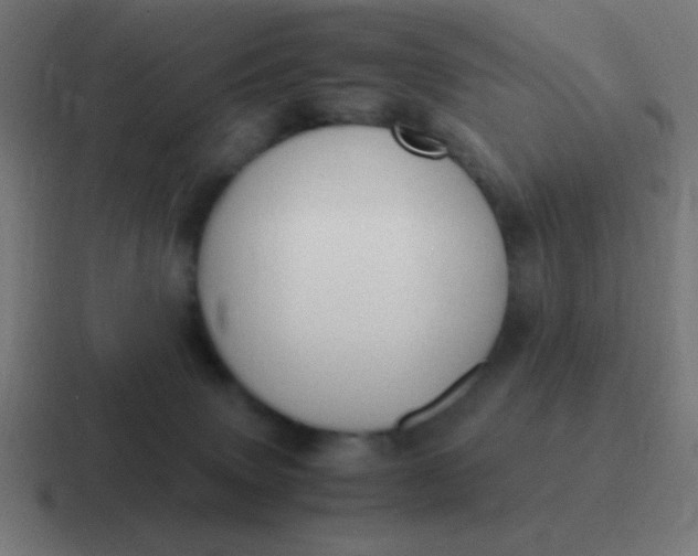 X0000116820083200912312024