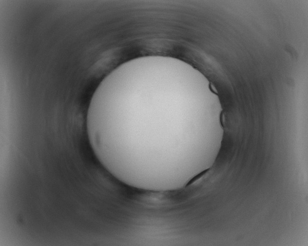 X0000116820086200912312024