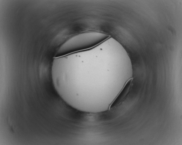 X0000116820088200912312024