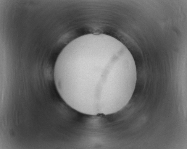 X0000116820090200912312024