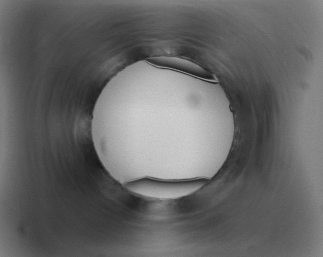 X0000116820096200912312024