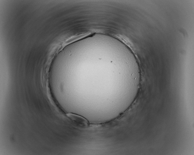 X0000116820097200912312023