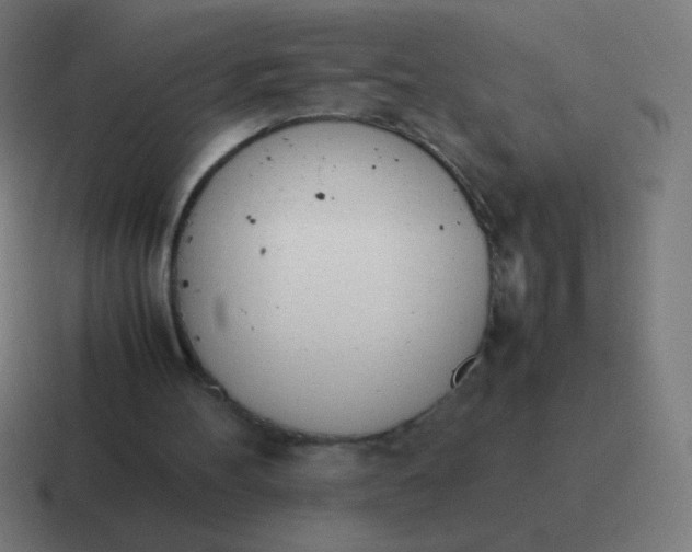 X0000116820100200912312023