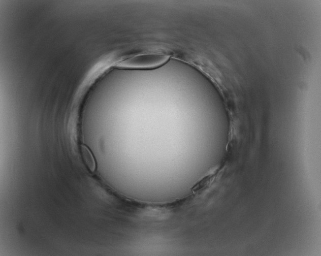 X0000116820101200912312023