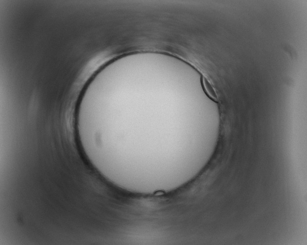 X0000116820103200912312023