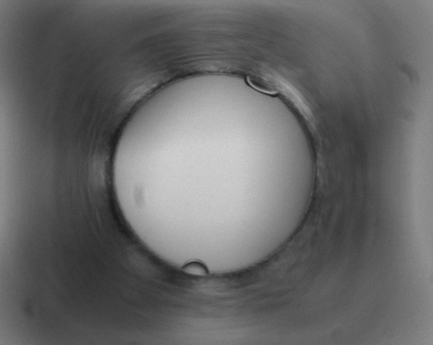 X0000116820105200912312023