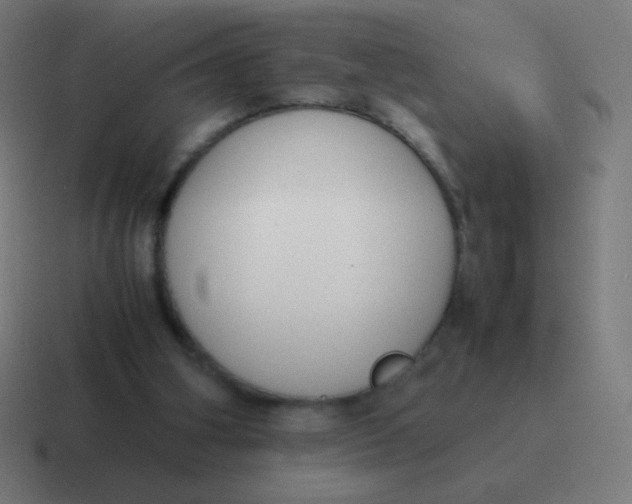 X0000116820106200912312023