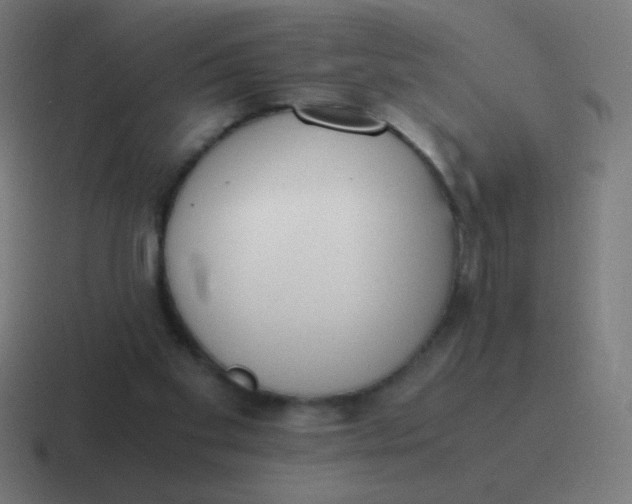 X0000116820109200912312023