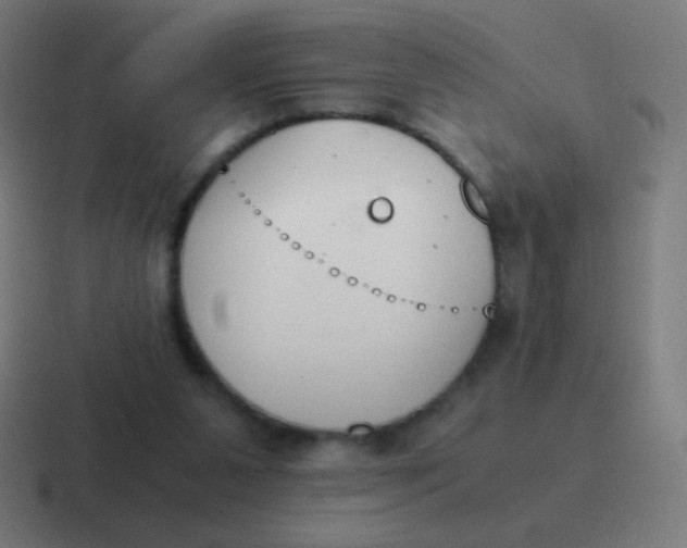 X0000116820111200912312023