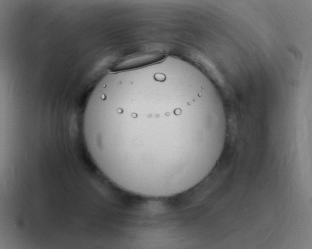 X0000116820114200912312023