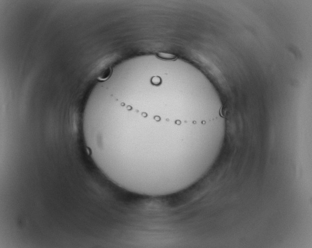 X0000116820115200912312023