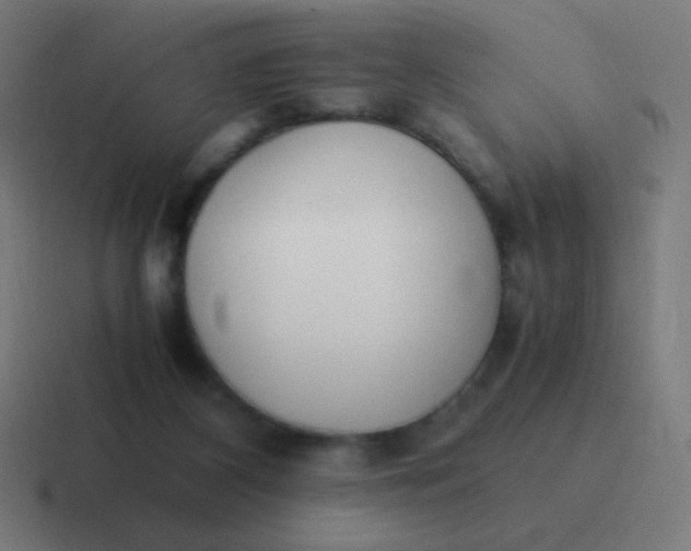 X0000116820116200912312023