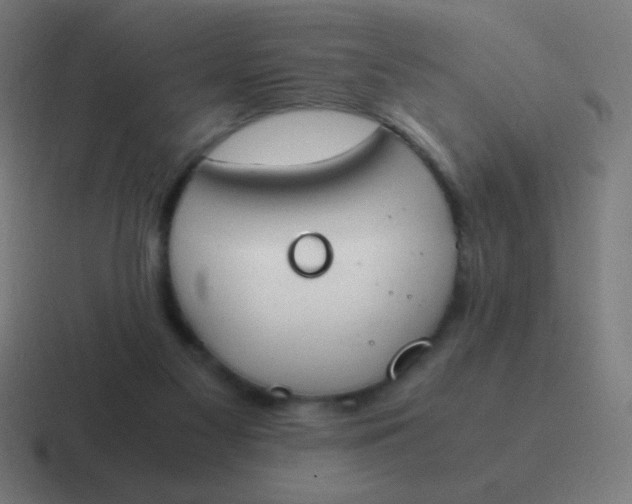 X0000116820117200912312023