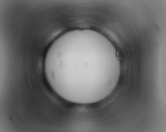 X0000116820120200912312023