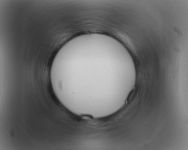 X0000116820121200912312023