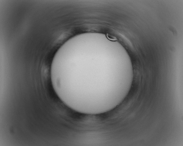 X0000116820123200912312023