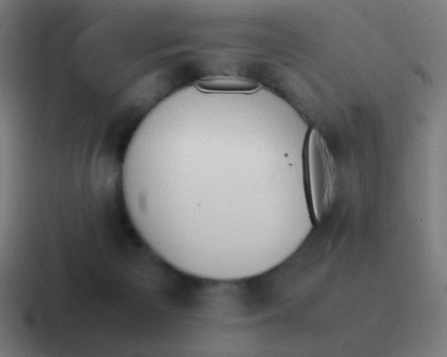 X0000116820125200912312023