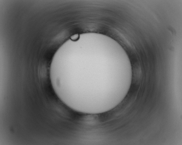 X0000116820126200912312023