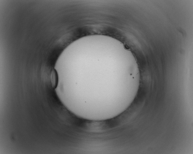 X0000116820129200912312023