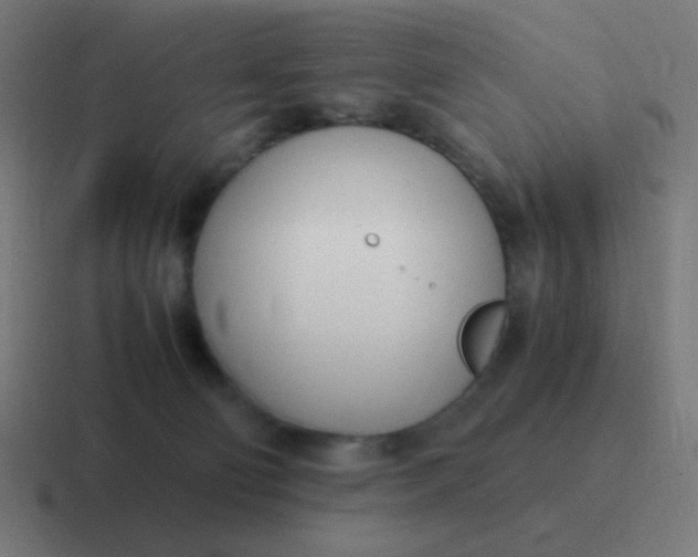 X0000116820130200912312023