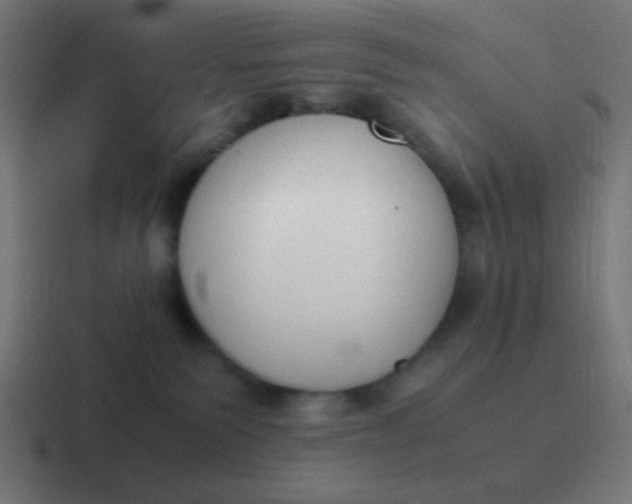 X0000116820135200912312023