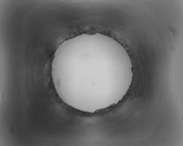 X0000116820144200912312023