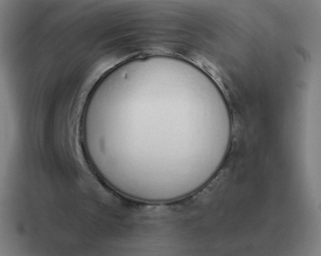 X0000116820145200912312022