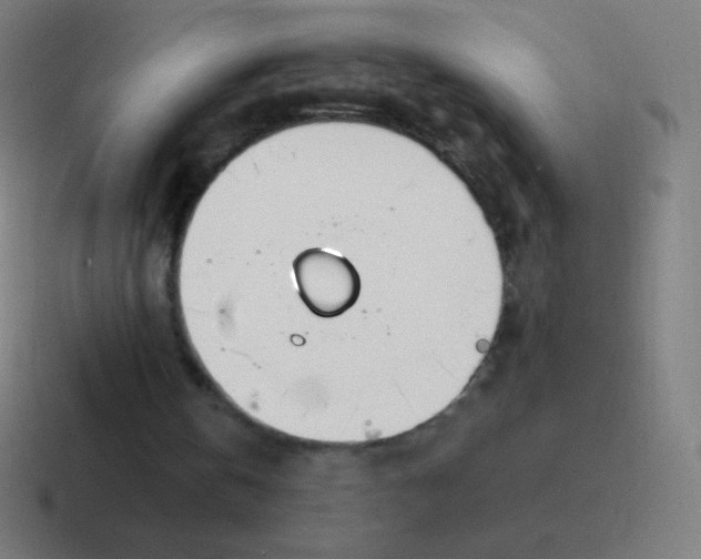 X0000116820146200912312022