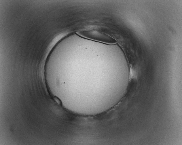 X0000116820147200912312022