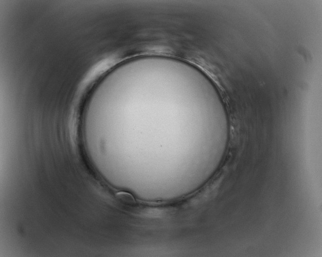 X0000116820149200912312022