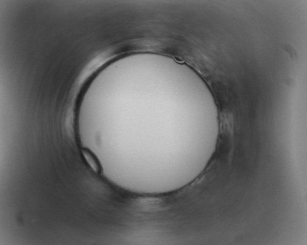 X0000116820150200912312022