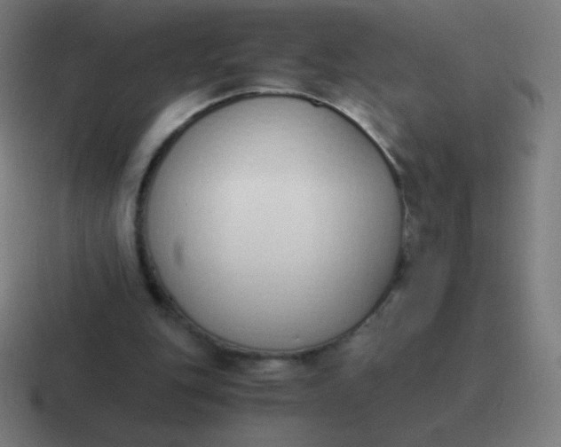 X0000116820151200912312022