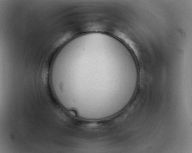 X0000116820153200912312022