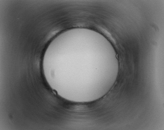 X0000116820154200912312022